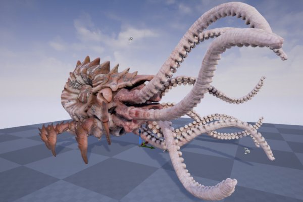 Kraken onion vtor run