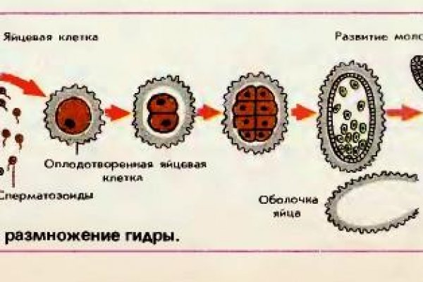 Kraken магазин интернет